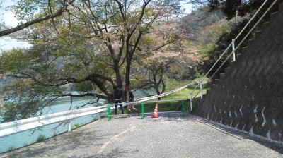 20120417114954