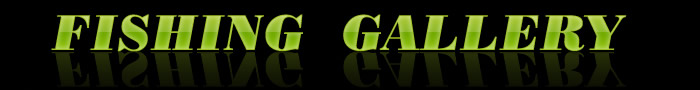 FISHING GALLERY