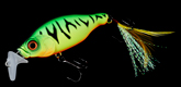 bacra (#10 �^�C�K�[)