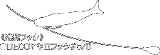 ダウンショットリグ