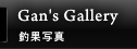 Gan's Gallery/̼̿
