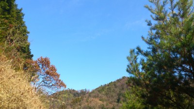 201201171