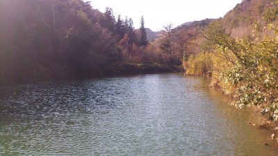 201201173
