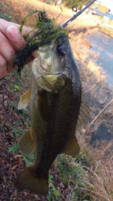 201202014