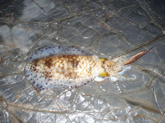 P6210146
