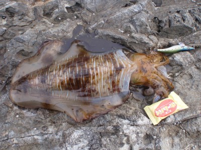 P4030061
