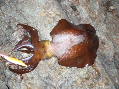 P4130089