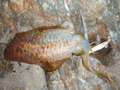 P4170093