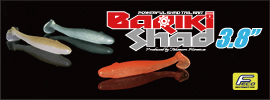 BARIKI SHAD3.8