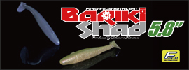 BARIKI SHAD5.8