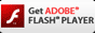 Adobe Flash Player Logo