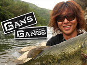 GAN's GANGS