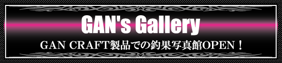 Gan's Gallery ̼̿